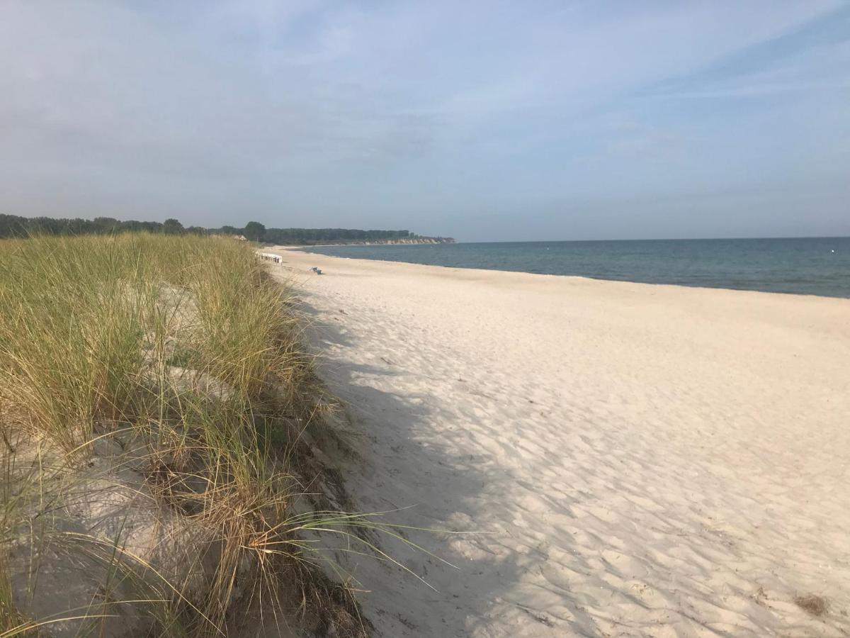 Top Ferienwohnung In Rerik - Nahe Salzhaff & Ostsee - Mit Gartenterrasse Dış mekan fotoğraf