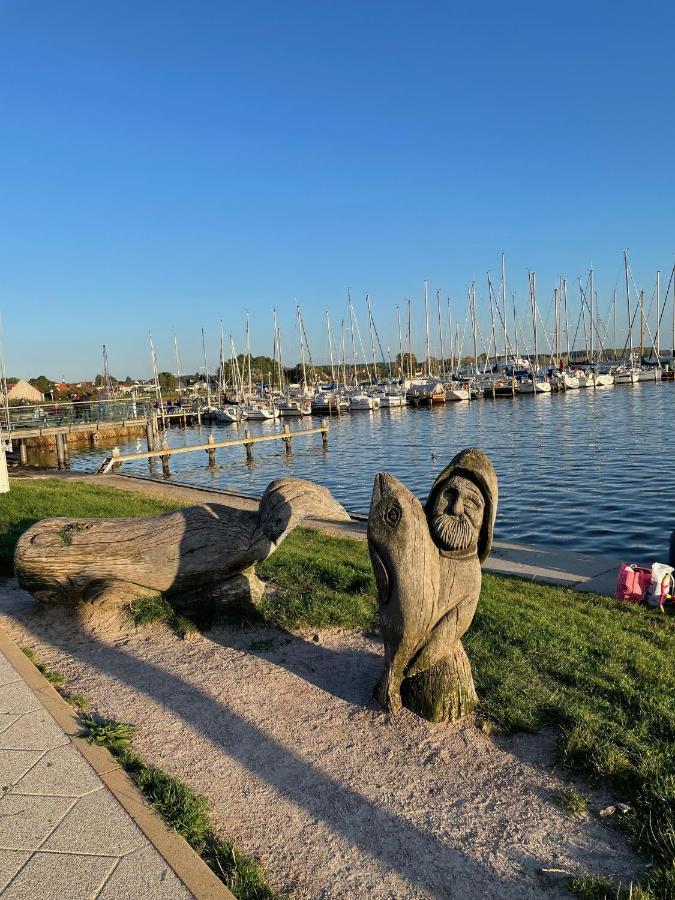 Top Ferienwohnung In Rerik - Nahe Salzhaff & Ostsee - Mit Gartenterrasse Dış mekan fotoğraf